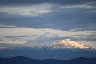 DSC_0113 (Large).JPG